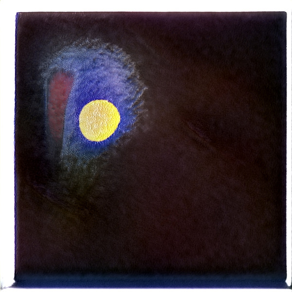 1041 8K Digital Download