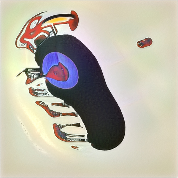 3029 8K Digital Download