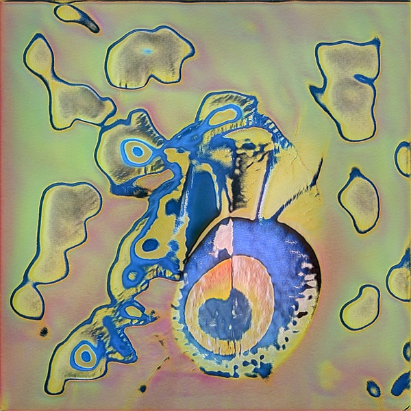 2857 8K Digital Download