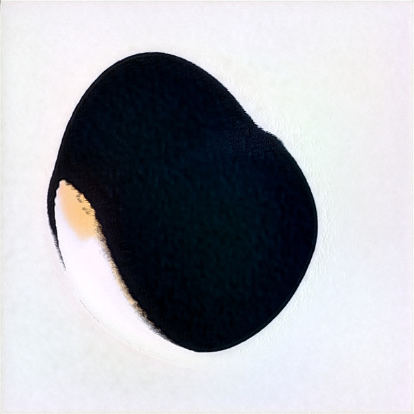 1531 8K Digital Download