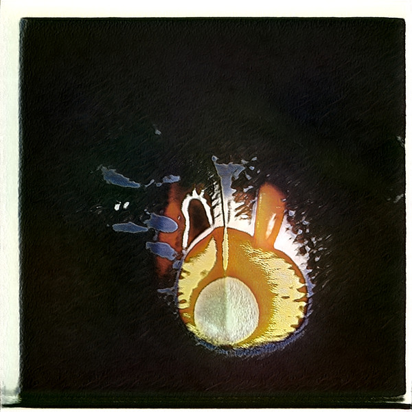 3499 8K Digital Download