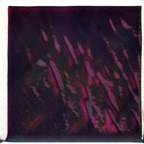 3089 8K Digital Download