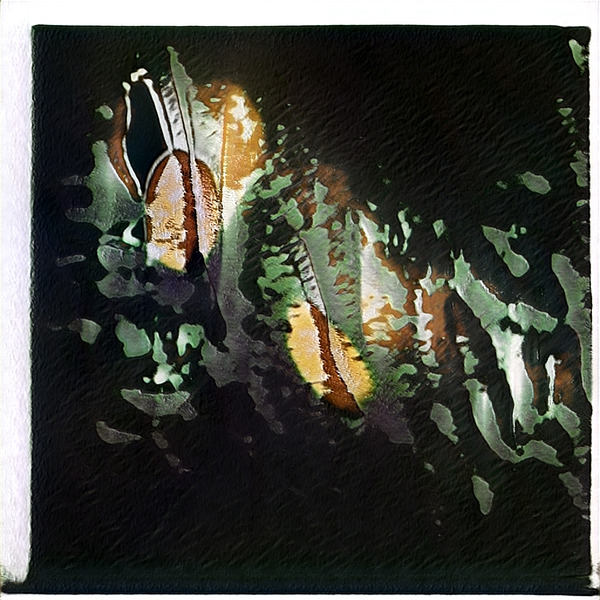 1309 8K Digital Download