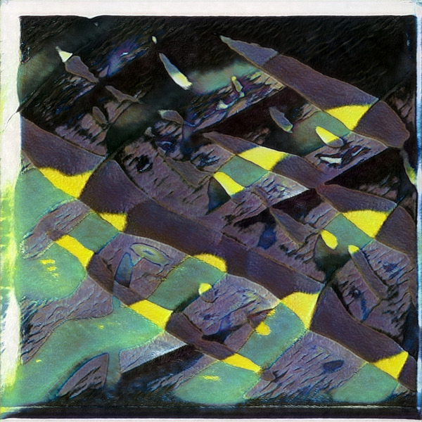 2995 8K Digital Download