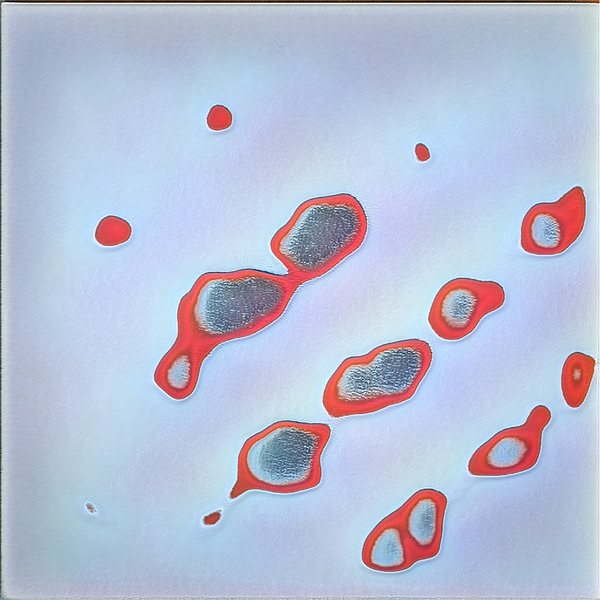 2204 8K Digital Download