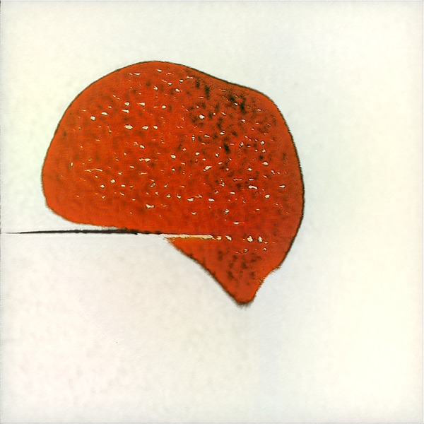 2820 8K Digital Download