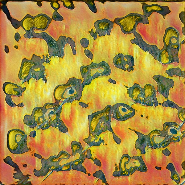 3215 8K Digital Download