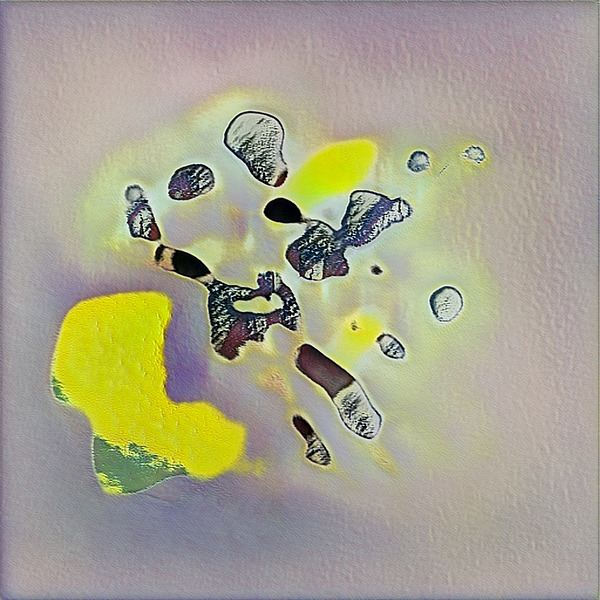 2368 8K Digital Download