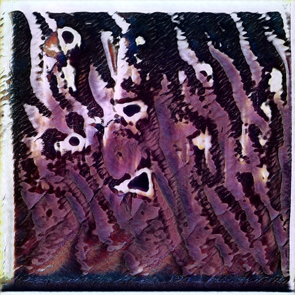 834 8K Digital Download