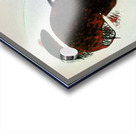 123 8K Acrylic print