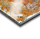 147 8K Acrylic print