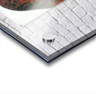 173 8K Acrylic print