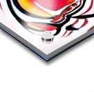 161 8K Acrylic print