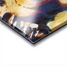 160 8K Acrylic print