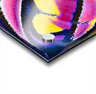 165 8K Acrylic print