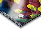 239 8K Acrylic print