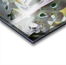 217 8K Acrylic print