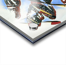 237 8K Acrylic print