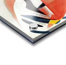 205 8K Acrylic print