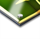 285 8K Acrylic print