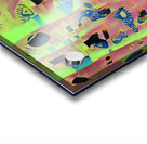 317 8K Acrylic print