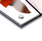 353 8K Acrylic print