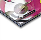 354 8K Acrylic print