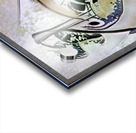 366 8K Acrylic print