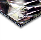 398 8K Acrylic print