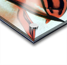 435 8K Acrylic print