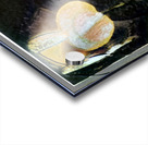 424 8K Acrylic print