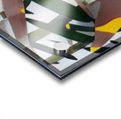 419 8K Acrylic print