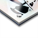 429 8K Impression Acrylique