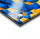 492 8K Acrylic print