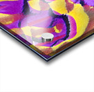 513 8K Acrylic print