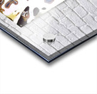 514 8K Acrylic print