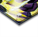 510 8K Acrylic print