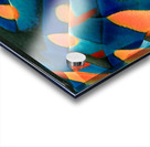 541 8K Acrylic print