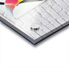 562 8K Acrylic print