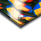 570 8K Acrylic print