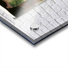 590 8K Acrylic print