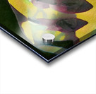 603 8K Acrylic print