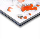 602 8K Acrylic print