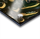 605 8K Acrylic print