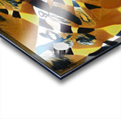 633 8K Acrylic print