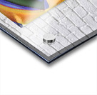 653 8K Acrylic print