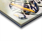 673 8K Acrylic print