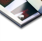 664 8K Acrylic print