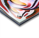 658 8K Acrylic print