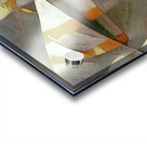 704 8K Acrylic print